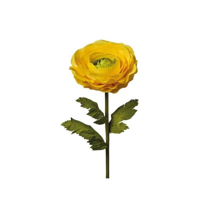 RAMO RANUNCOLO CM125 GIALLO